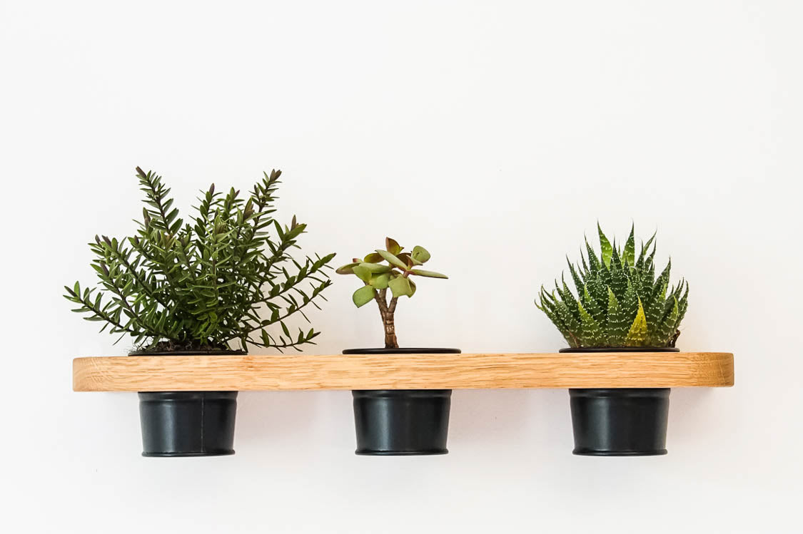 Etagère pour trois plantes