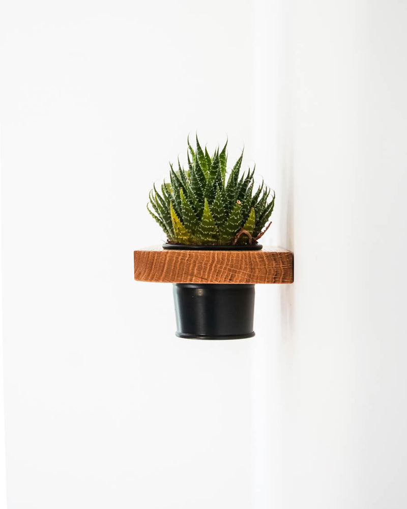 Etagère flottante pour plantes